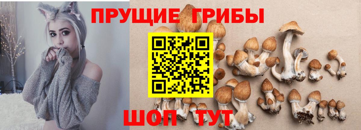 Псилоцибиновые грибы Psilocybe  купить закладку  Ишимбай  Вход с VPN  Галлюциногенные грибы Cubensis 